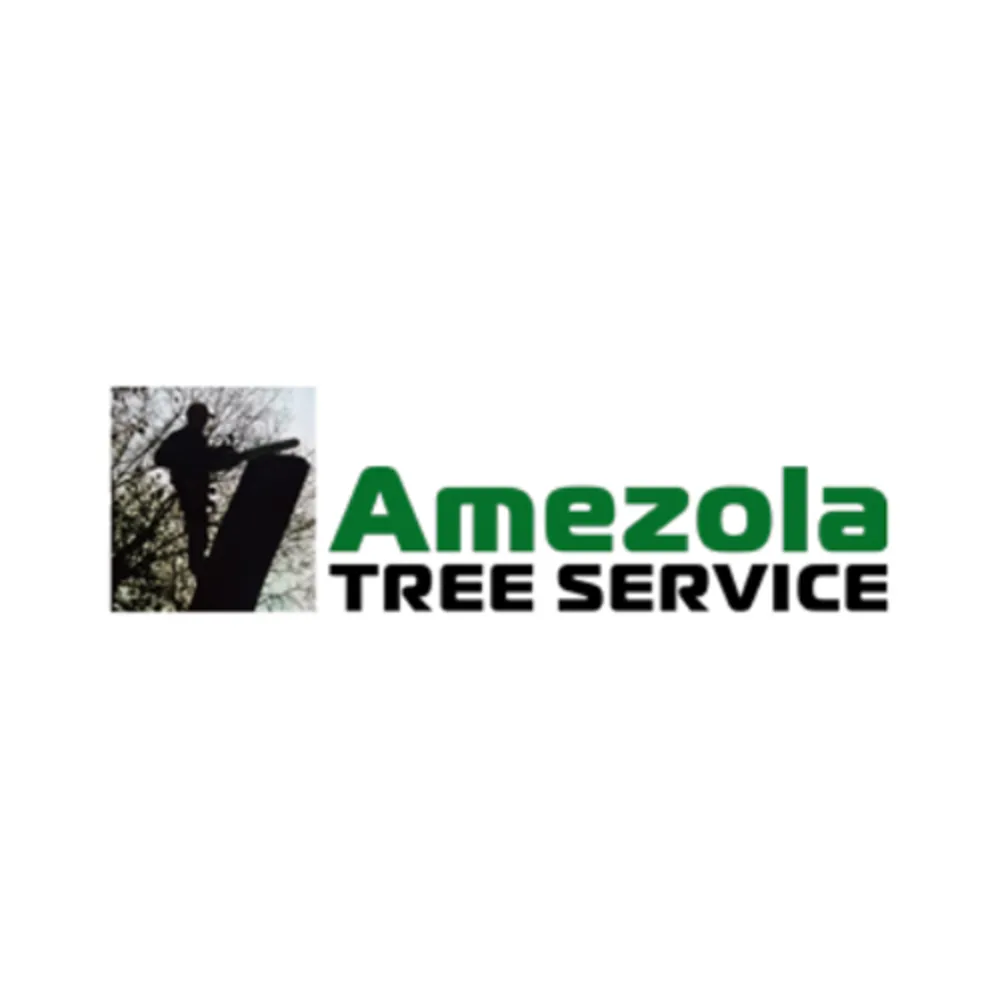 Amezola Tree Service