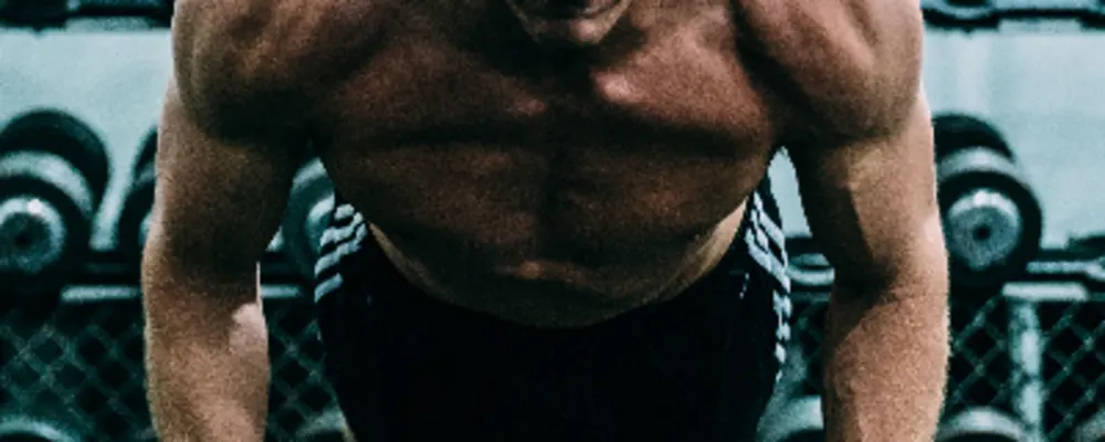 Life Performance Enhancement: Fitness, Sport Performance, Rehabilitation
