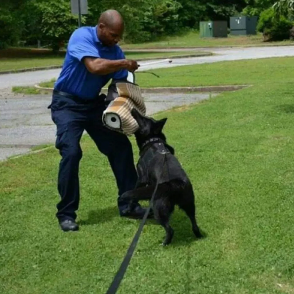 A Step Ahead K9, Inc.