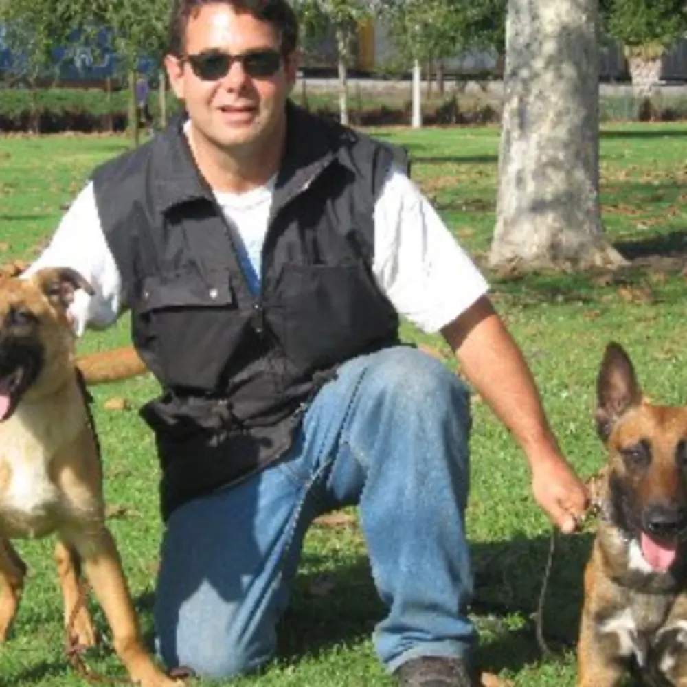 A A Comet Dog Training Services
