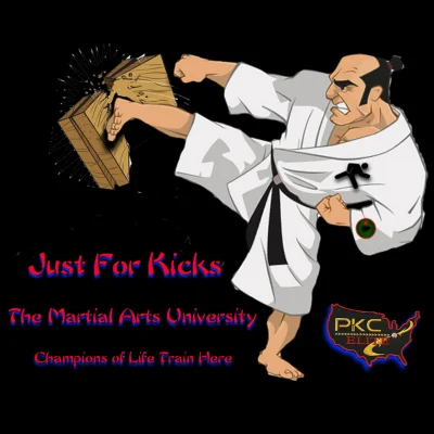 The Martial Arts University