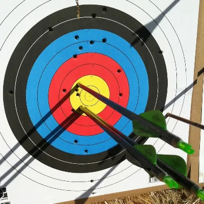 Archery Lessons For Beginner And Intermediate Archery/ Closed, Temporary