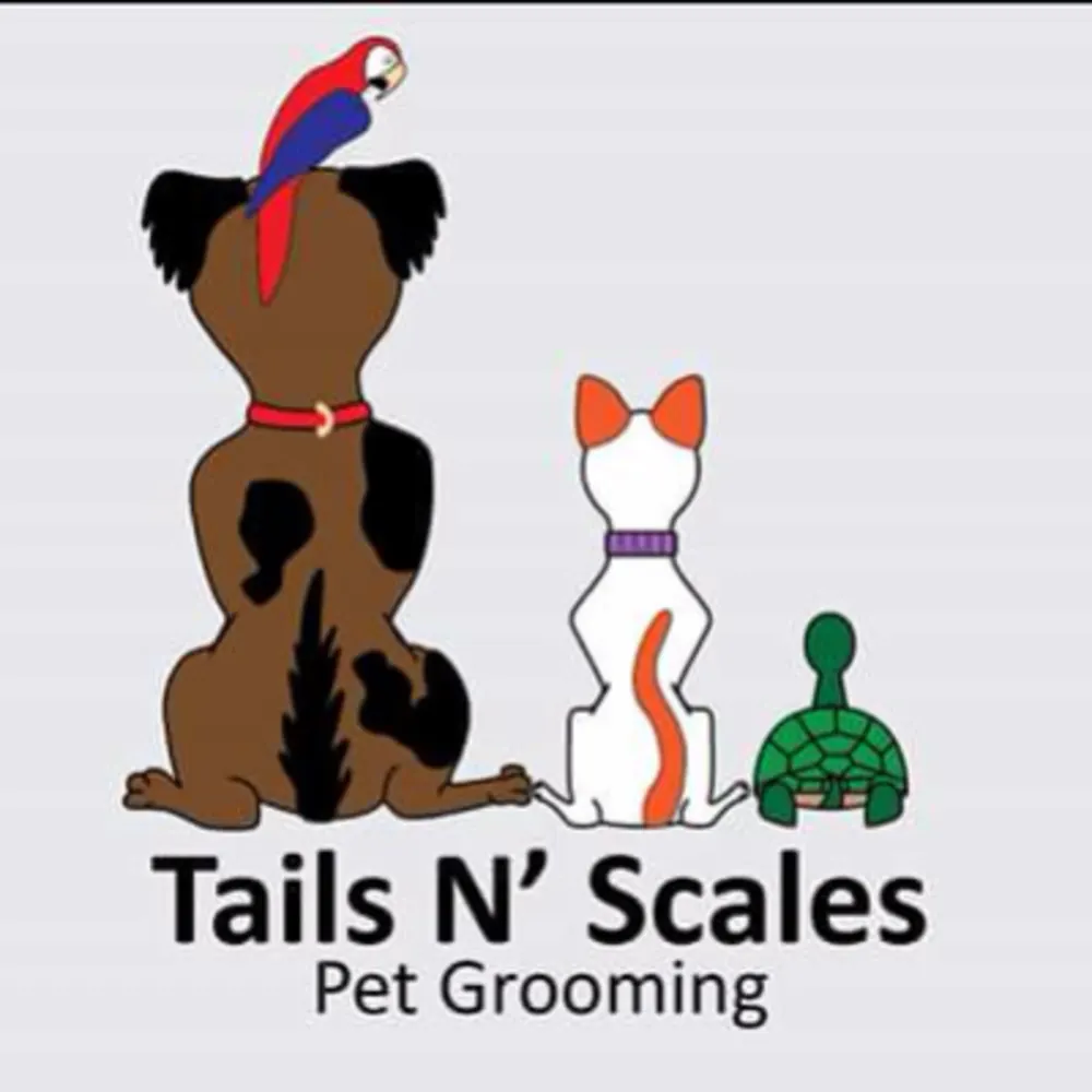 Tails N Scales Pet Grooming