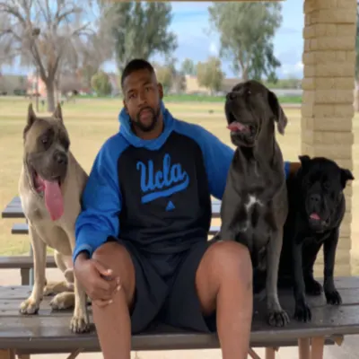 Prime Time Dog Training