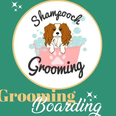 Shampooch Grooming & Boarding