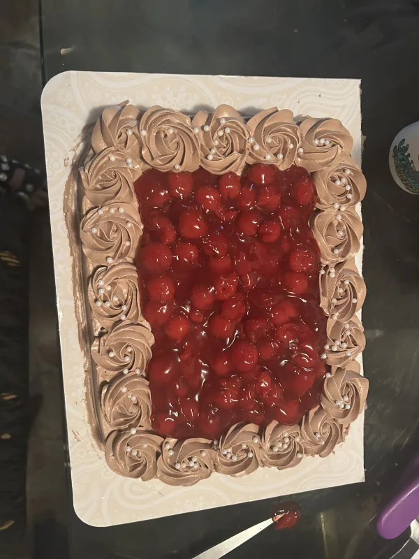 Vegan chocolate cherry cake