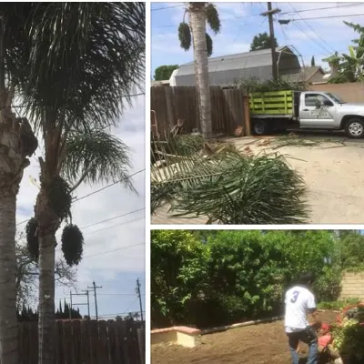 Lezamalandscaping