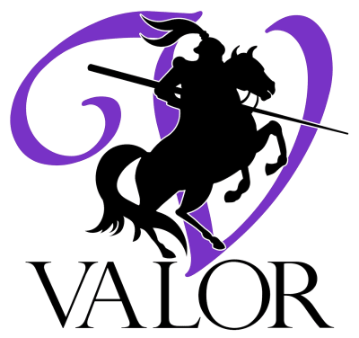 Valor Mold Removal