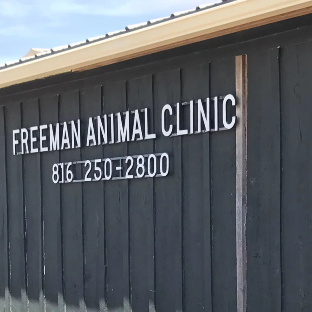 Freeman Animal Clinic