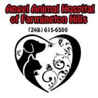 Angel Animal Hospital