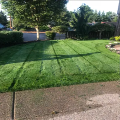Avendano Lawncare LLC