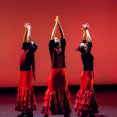 Zorongo Flamenco Dance Theatre & School