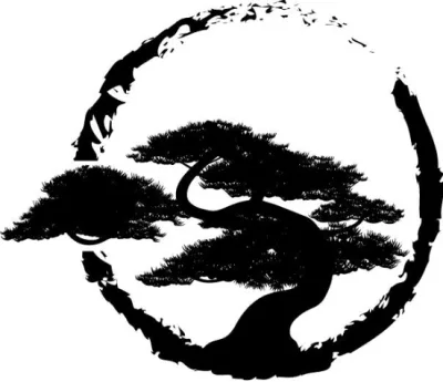 Aikido Of Pinellas County