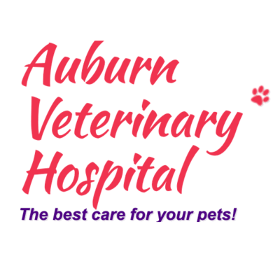 Auburn Veterinary Hospital Inc