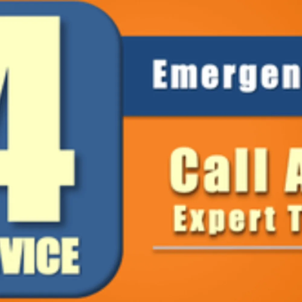 Green Clean Carpet Cleaning Cary