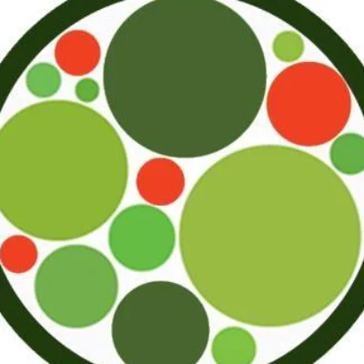 Phytamins Superfood Station
