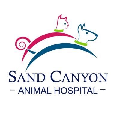Sand Canyon Animal Hospital