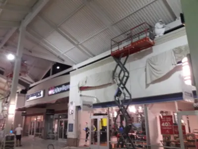MGD Painting Services