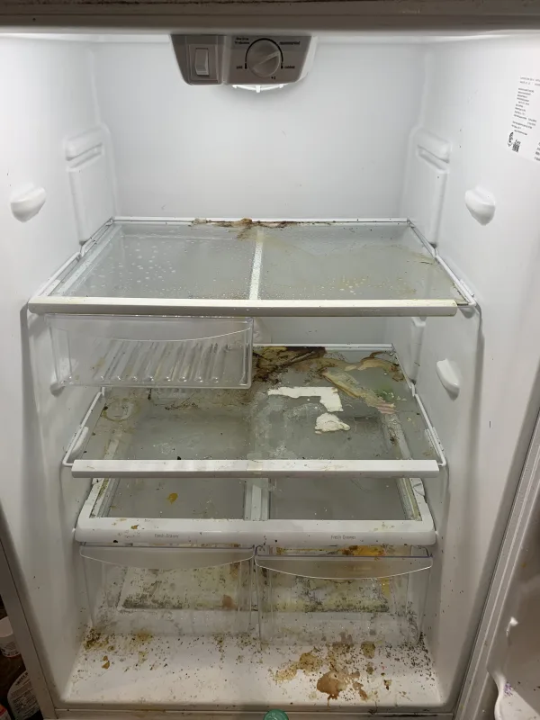 Before picture of Customers Fridge