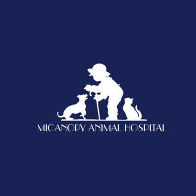 Micanopy Animal Hospital