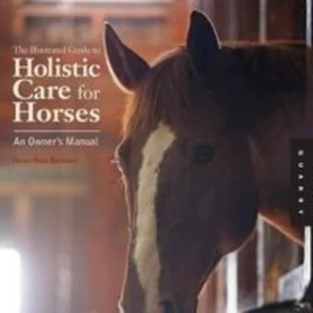 Exclusive Equestrian Services