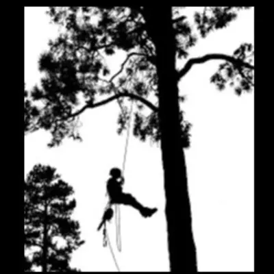 Jt Tree Service