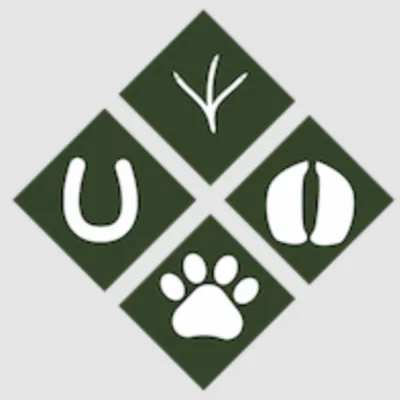 Cornerstone Veterinary Hospital
