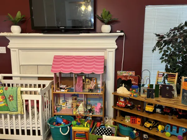 Assortment of toys for all children.