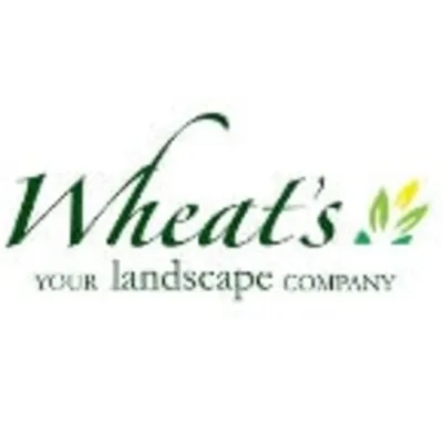 Wheat's Landscape