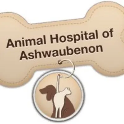 Animal Hospital Of Ashwaubenon