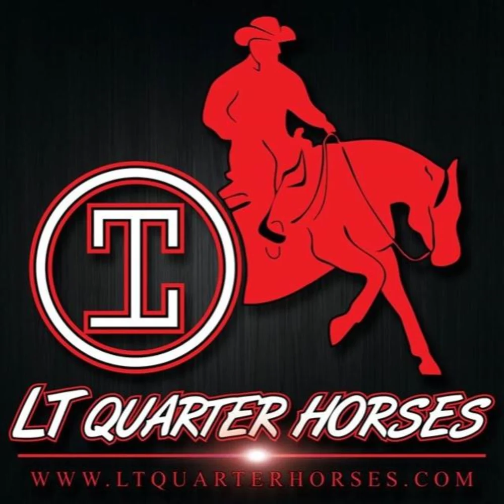 LT Quarter Horses