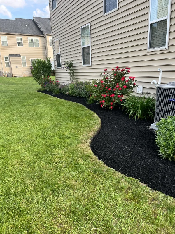 Nice clean edge and mulch