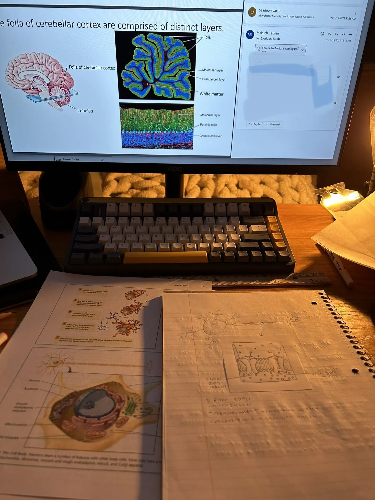 Here I am studying additional Neuro topics