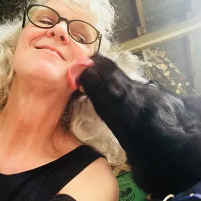 Laura Garren Dog Training LLC