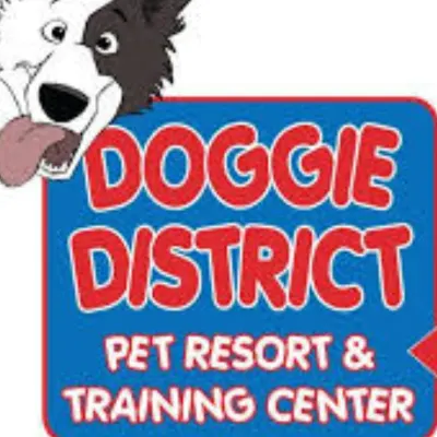 Doggie District Mesa