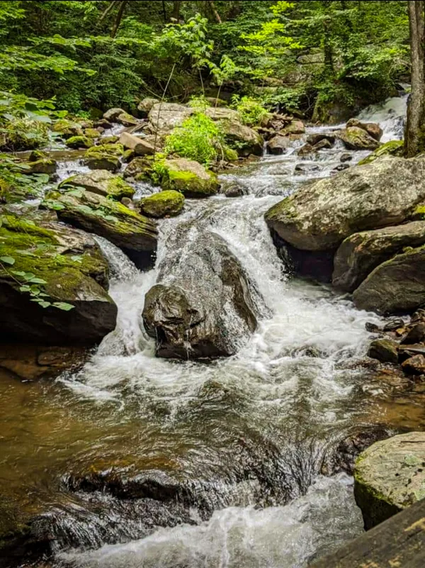 Nature