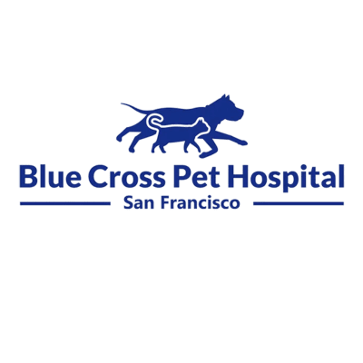 Blue Cross Pet Hospital