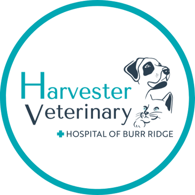 Harvester Veterinary Hospital Of Burr Ridge
