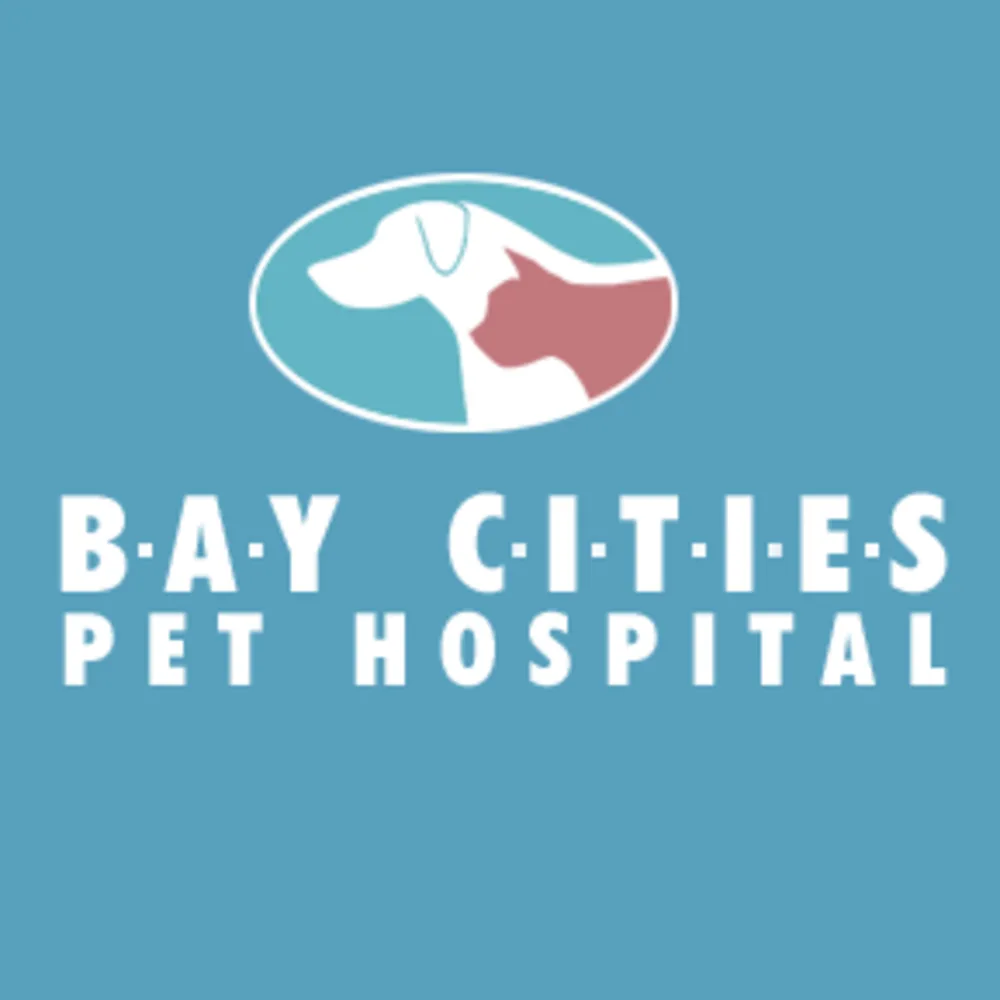 Bay Cities Pet Hospital