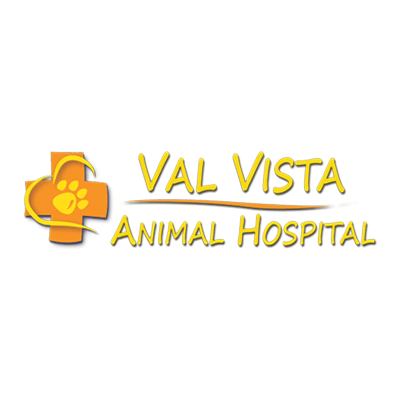 Val Vista Animal Hospital