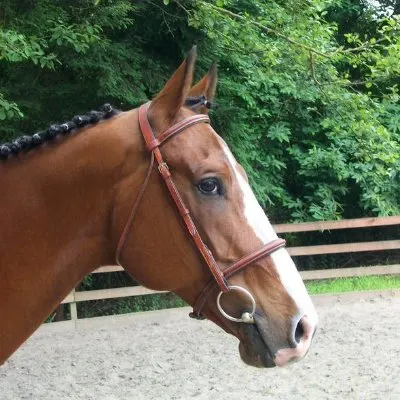 The Riding Place Equestrian Center