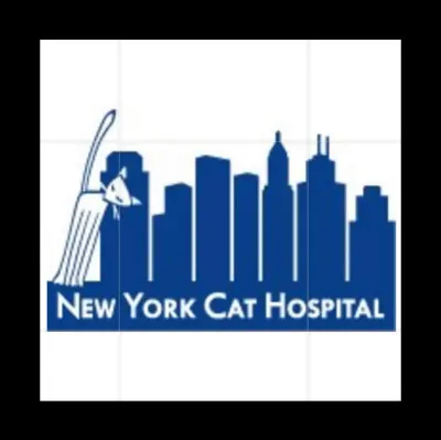 New York Cat Hospital