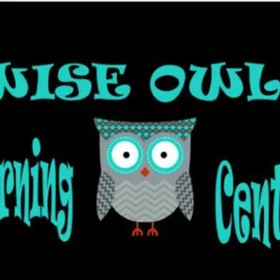 Wise Owls Learning Center Inc