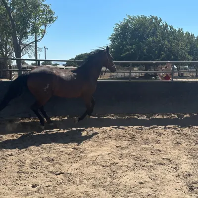 Minnie And Me Riding Acadmey 