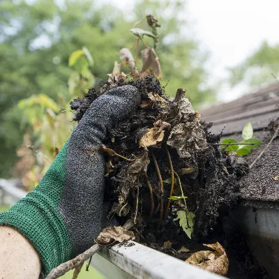 Roofing And Gutter Contractor