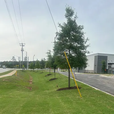 IDEAL LANDSCAPES CSRA