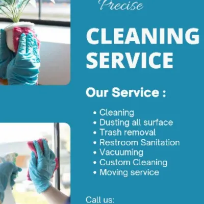 Precision House Cleaning 