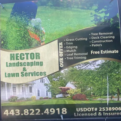 Hector Landscaping