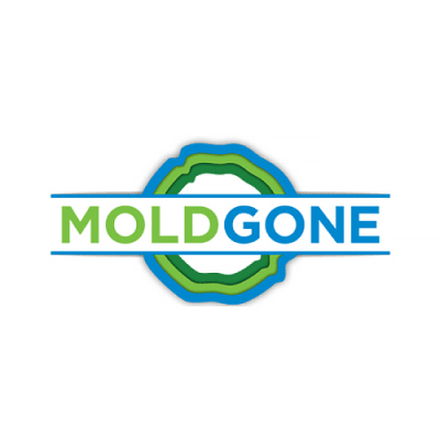 MoldGone