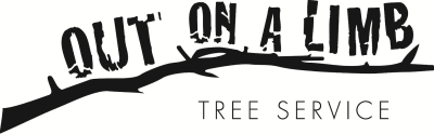 Out On A Limb